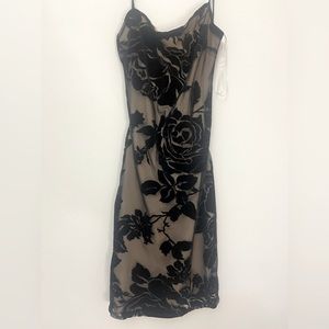 Black and Tan Floral Dress from Windsor